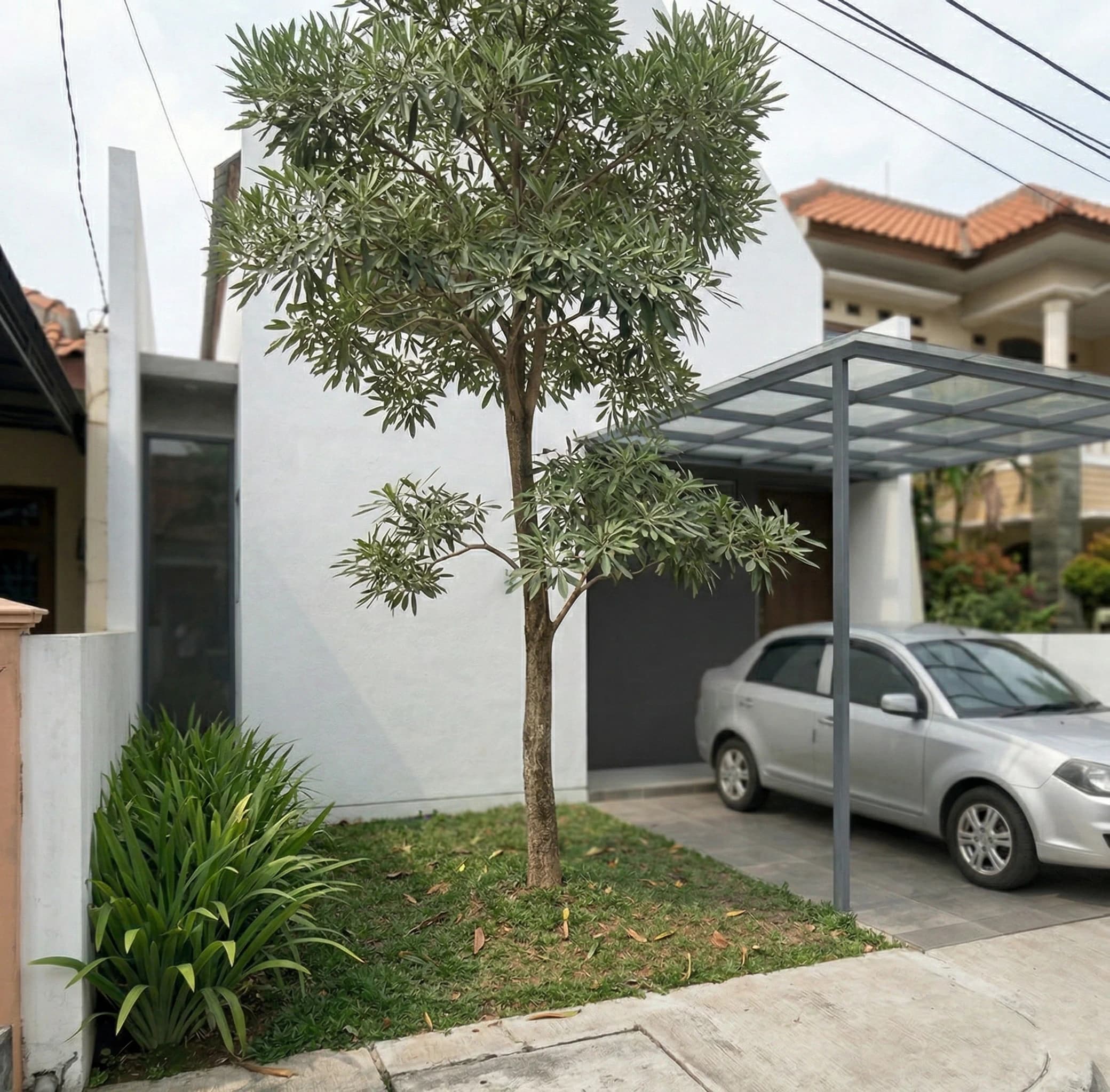 Rumah 1.5 Lantai Scandinavian  6 x 11 m - Galeri 9